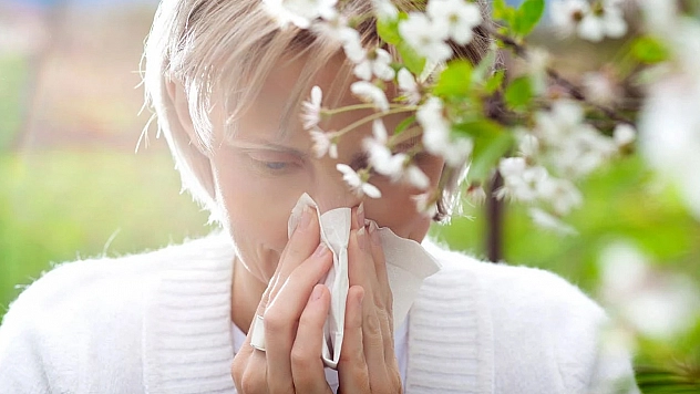 Bahar alerjisine iyi gelen bitkiler