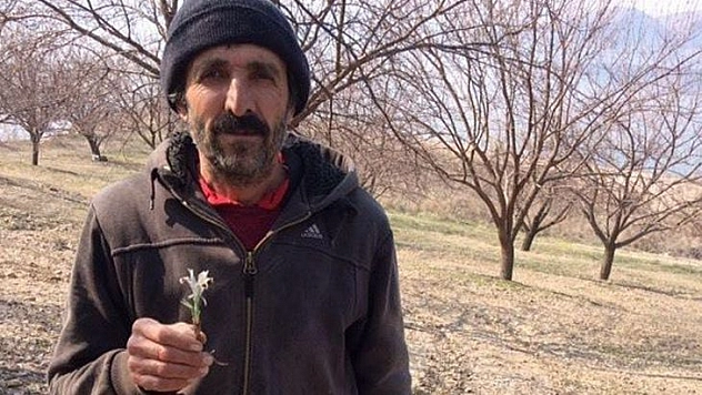 Baharın Müjdecisi Nevruz Çiçeği Şubat Ayında Açtı