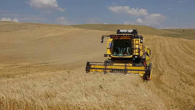 Bakan Yumaklı: Buğday ve arpada tarihi rekor bekleniyor