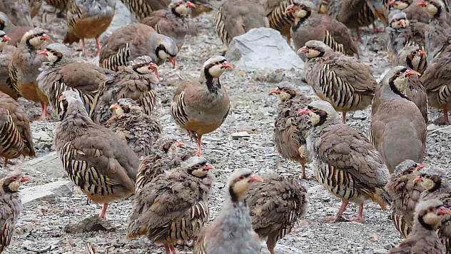 Bakan Yumaklı: Doğanın dengesini korumak yarının da meselesi