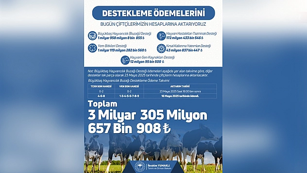 Bakanlık duyurdu: Destek ödemeleri hesaplarda