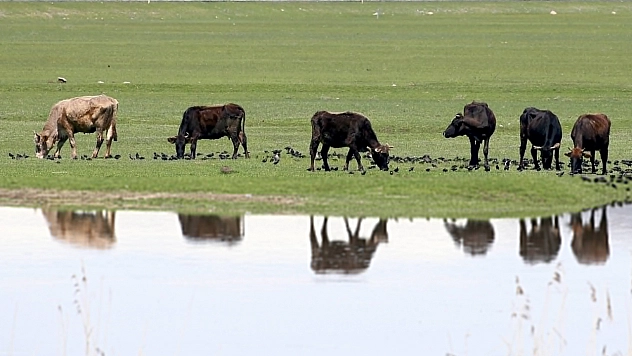 Bakanlıktan 'Anadolu'da Bahar' paylaşımı