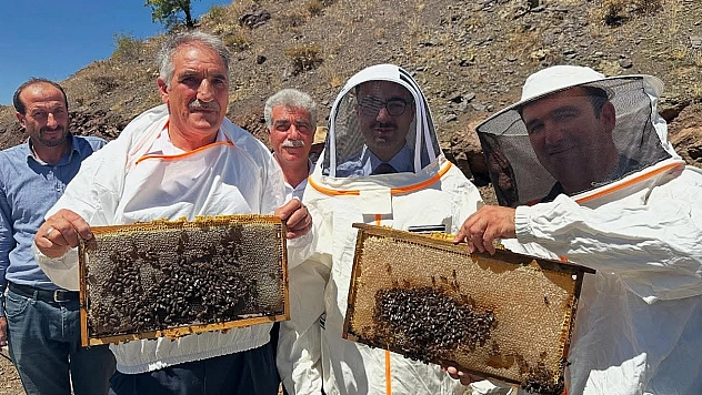 Bal hasadı başladı