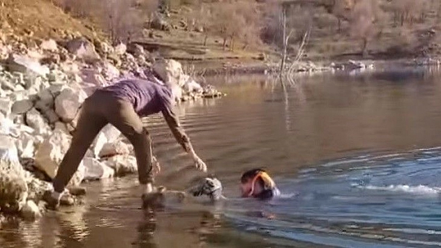 Baraj gölüne düşen güvercin, suya giren muhtar tarafından kurtarıldı