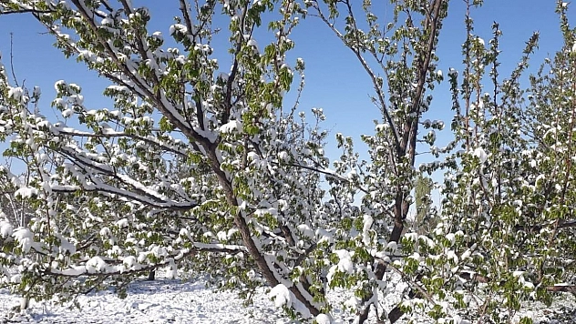 Baskil Belediye Başkanı Turus: Hiçbir çiftçi kardeşim asla yalnız değildir