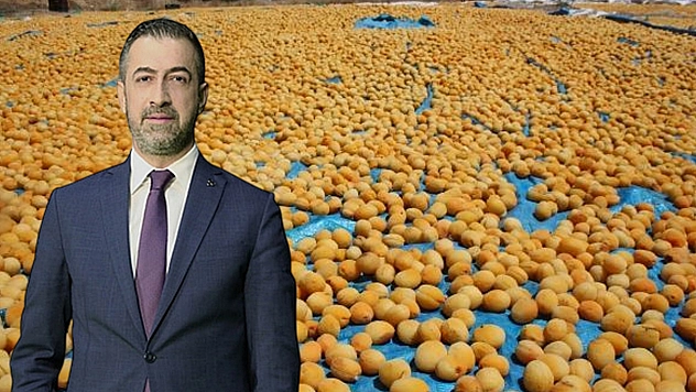 Baskil Belediye Başkanı Turus'tan Milletvekili Işıkver'e fahri Baskilli ünvanı