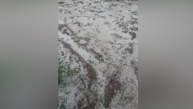 Baskil'de dolu yağışı kayısı bahçelerine zarar verdi