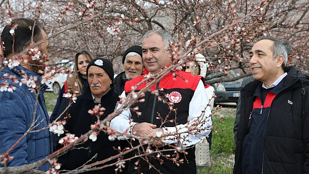 Baskil kayısısında beyazla başlayan üretim yolculuğu