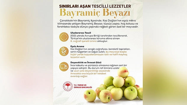 Bayramiç Beyazı'na Avrupa Birliği'nden tescilli lezzet vurgusu