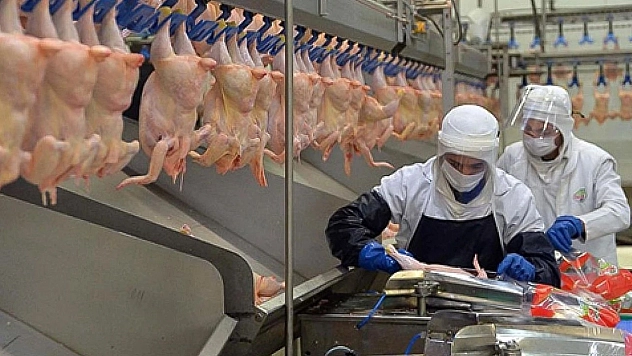 Beyaz et soruşturmasında 13 şirkete denetim kayyımı tedbiri