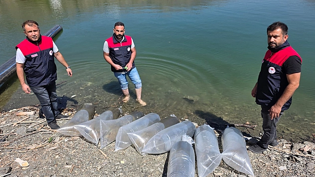 Beyhan Barajı'na 50 bin yavru balık kazandırıldı