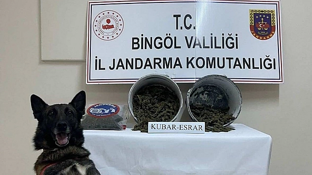 Bingöl'de 2,1 kilo esrar ele geçirildi, şüpheli tutuklandı