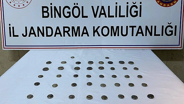 Bingöl'de 42 adet sikke ele geçirdi