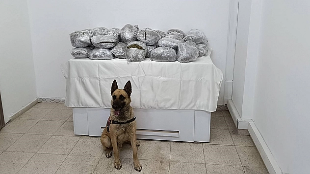 Bingöl'de 49 kilo esrar ele geçirildi