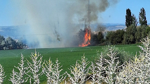 Bingöl'de ağaçlık alanda korkutan yangın