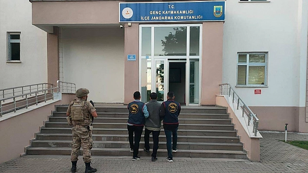 Bingöl'de aranan 3 hükümlü jandarma operasyonuyla yakalandı