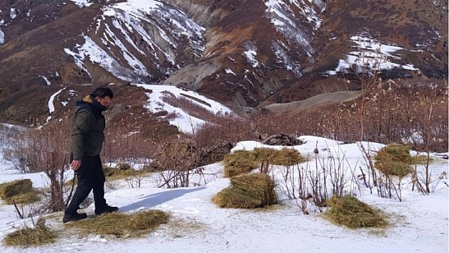 Bingöl'de doğaya 800 kilo yem bırakıldı