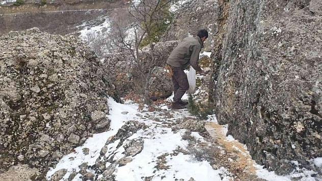 Bingöl'de ekipler 2 ayda doğaya 25 ton yem bıraktı
