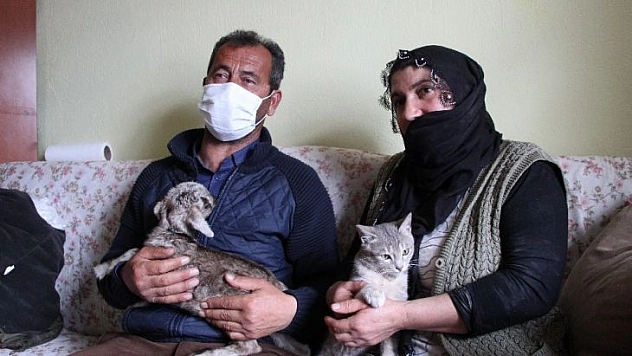 Bingöl'de içleri ısıtan görüntü, oğlağı evde bebek gibi bakıyorlar