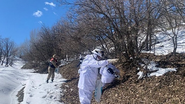 Bingöl'de jandarma ve polis ekipler doğaya yem bıraktı