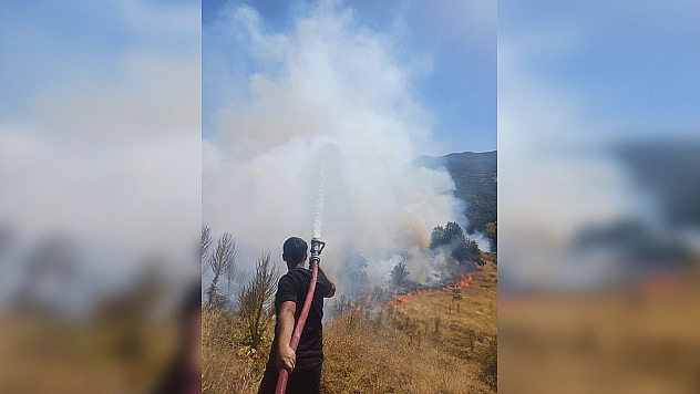 Bingöl'de kırsal alanda yangın