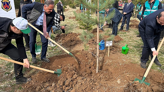 Bingöl'de Milli Ağaçlandırma Günü etkinliklerinde 25 bin fidan dikildi