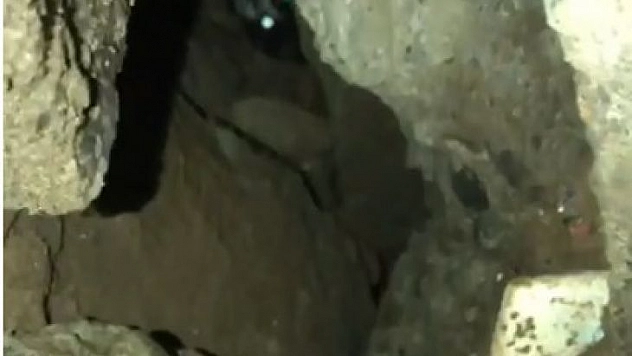 Bingöl'de moloz altında kalan kedi kurtarıldı