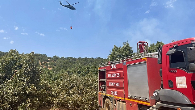 Bingöl'de orman yangını: Havadan karadan müdahale sürüyor