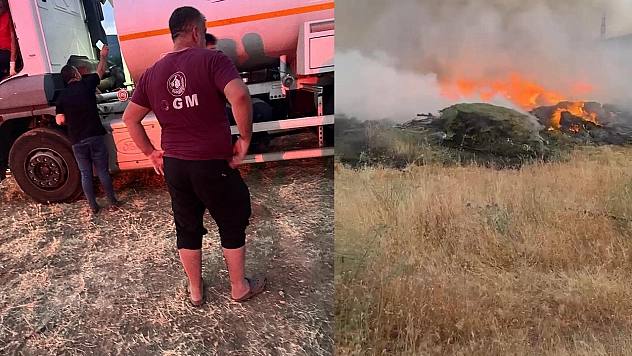 Bingöl'de orman yangını