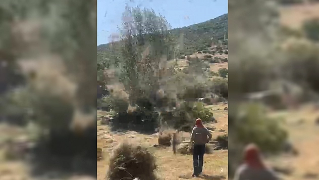 Bingöl'de şiddetli hortum