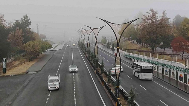 Bingöl'de sis etkili oldu