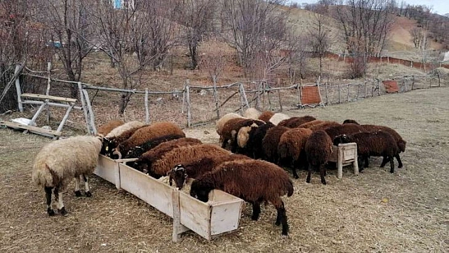 Bingöl'de üreticilere 3 milyon lira destek verildi