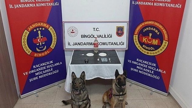Bingöl'de uyuşturucu operasyonu: 2 şüpheli tutuklandı