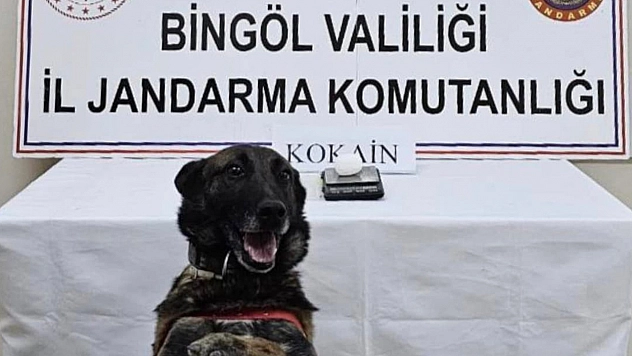 Bingöl'de uyuşturucu operasyonu: 1 kişi tutuklandı