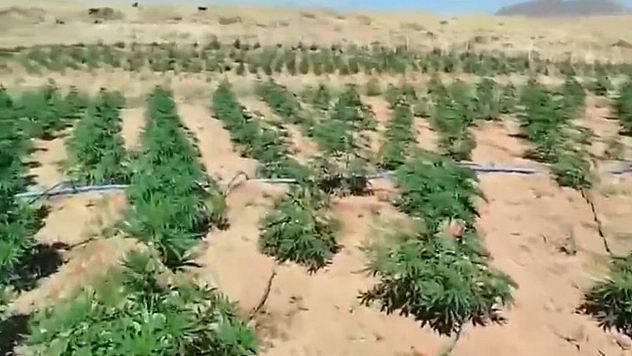 Bingöl'de uyuşturucuya geçit yok