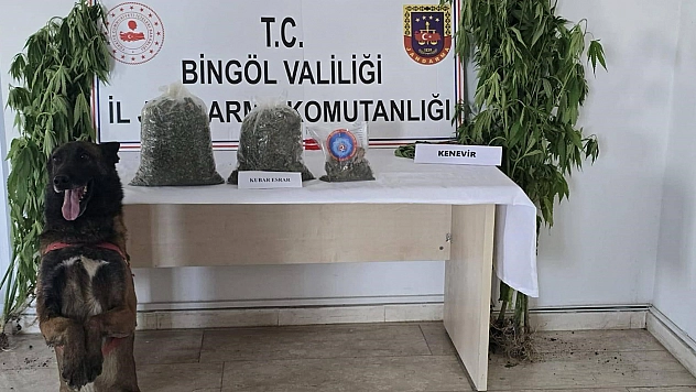 Bingöl'de uyuşturucuyla mücadele