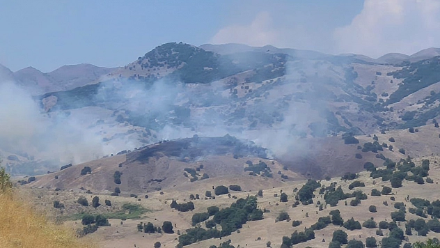 Bingöl'de yangın kontrol altına alındı