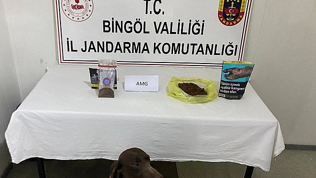 Bingöl'de yolcunun üzerinden bonzai çıktı