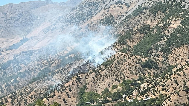 Bingöl'deki orman ve arazi yangınları söndürüldü