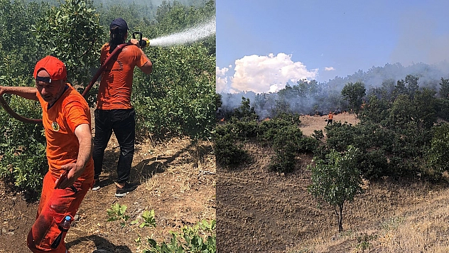 Bingöl'deki orman yangını kontrol altına alındı
