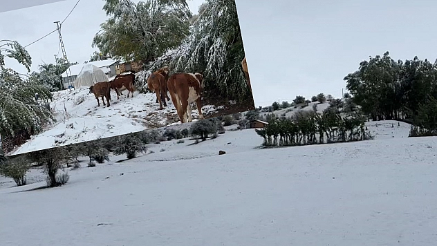Bingöl'ün yüksek kesimleri beyaz örtüyle kapladı