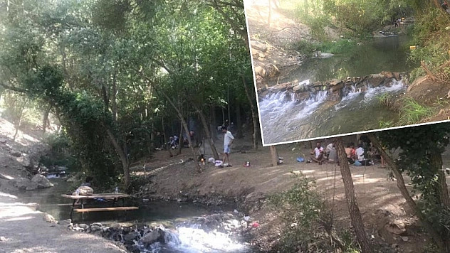 Bir Doğa Harikası Olan Palu'daki Teke Deresi İlgi Bekliyor