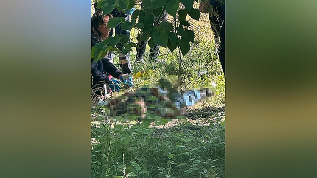 Bir kişi ağaçlık alanda ölü bulundu