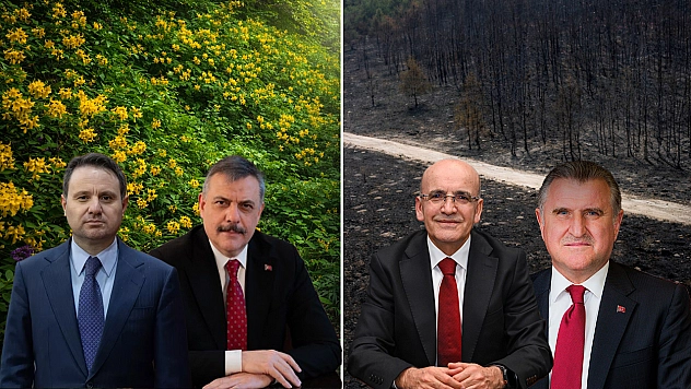 Yaprak döker bir yanımız, bir yanımız bahar bahçe
