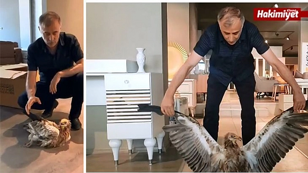 Bitkin Halde Bulunan Kızıl Akbaba, Ekiplere Teslim Edildi