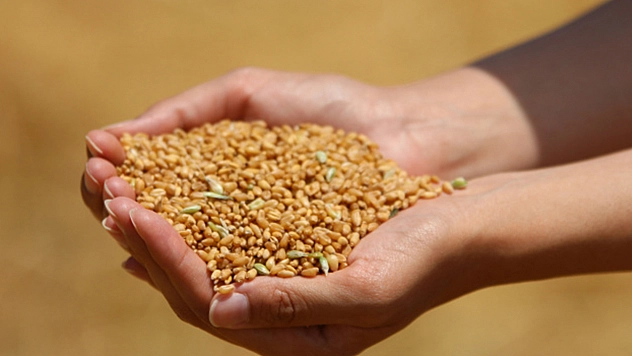 Bitkisel üretimde destekleme tutarları belli oldu