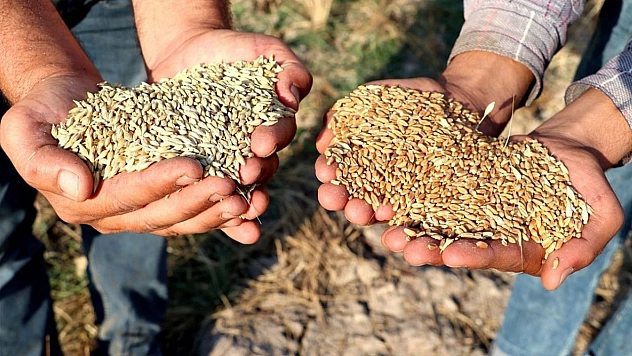 Biz de Buna Yanarız…