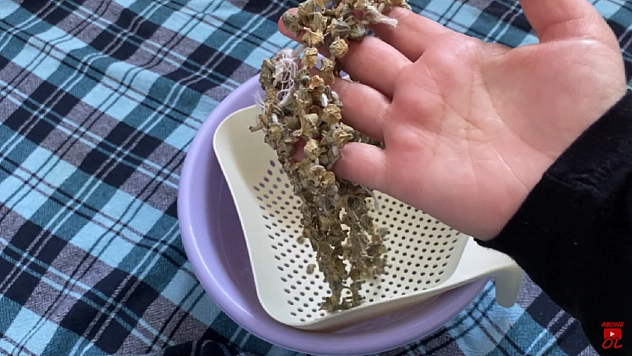 Böyle giderse altını sollayacak: Elazığ'da kilosu 1.500 TL'yi geçti!