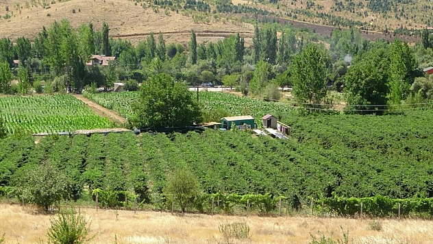 Bu Bahçeye Giren Bir Daha Çıkmak İstemiyor