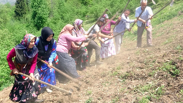 Bu İlçede Asırlık İmece Geleneği Yaşatılıyor